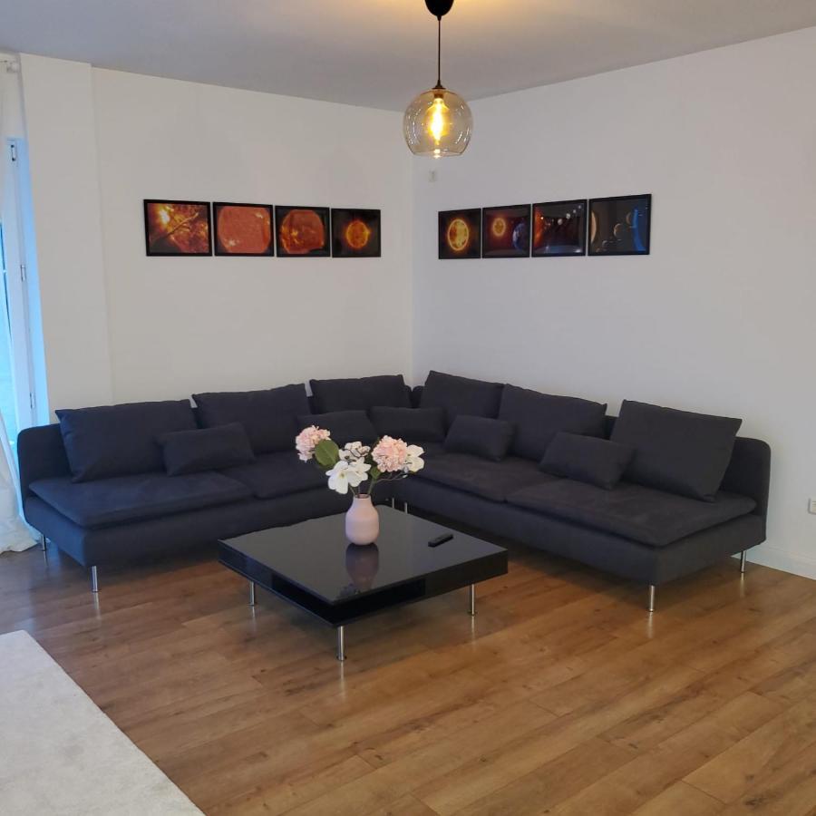 Galaxy Residence Villa Otopeni Eksteriør billede